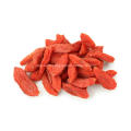 goji berry wholesale distributor